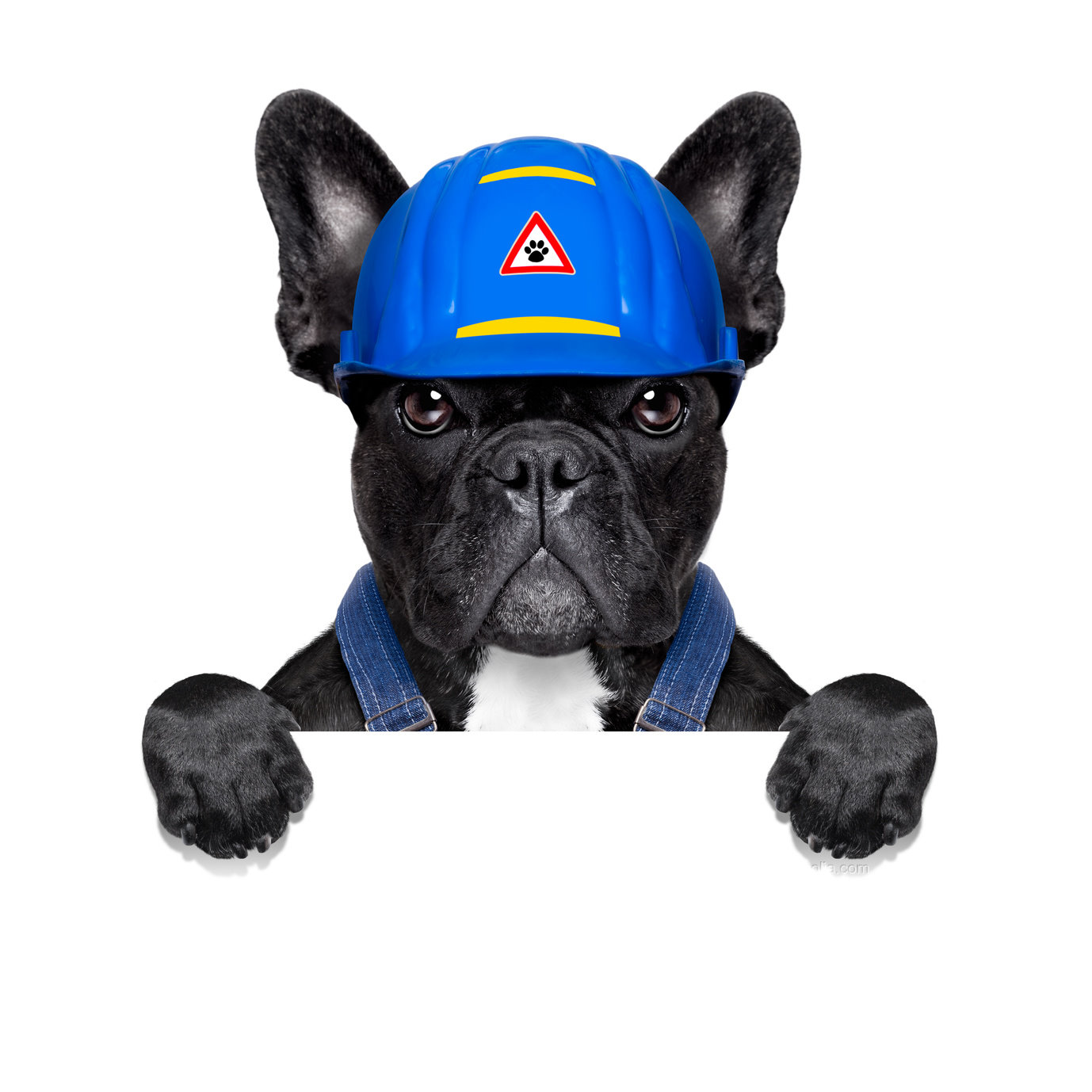 Arbeitssicherheit liegt im Interesse von Unternehmen und Mitarbeitern