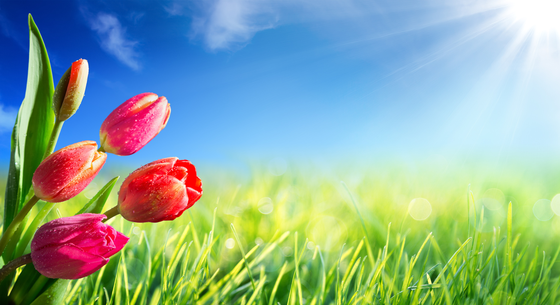 Frohe Ostern!